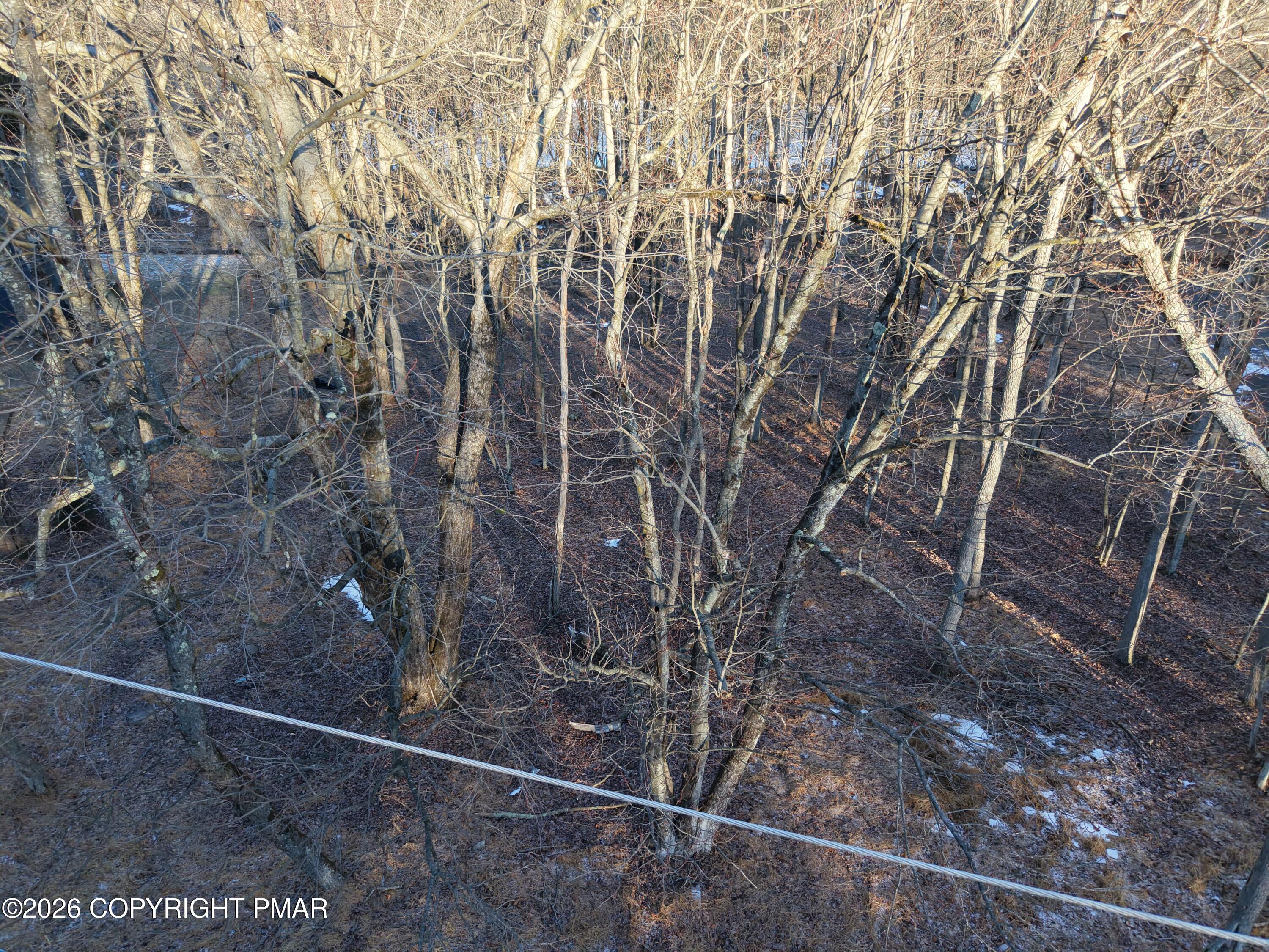 119 Mountain Road Albrightsville, PA 18210 - Photo 17 of 18 a view of a forest