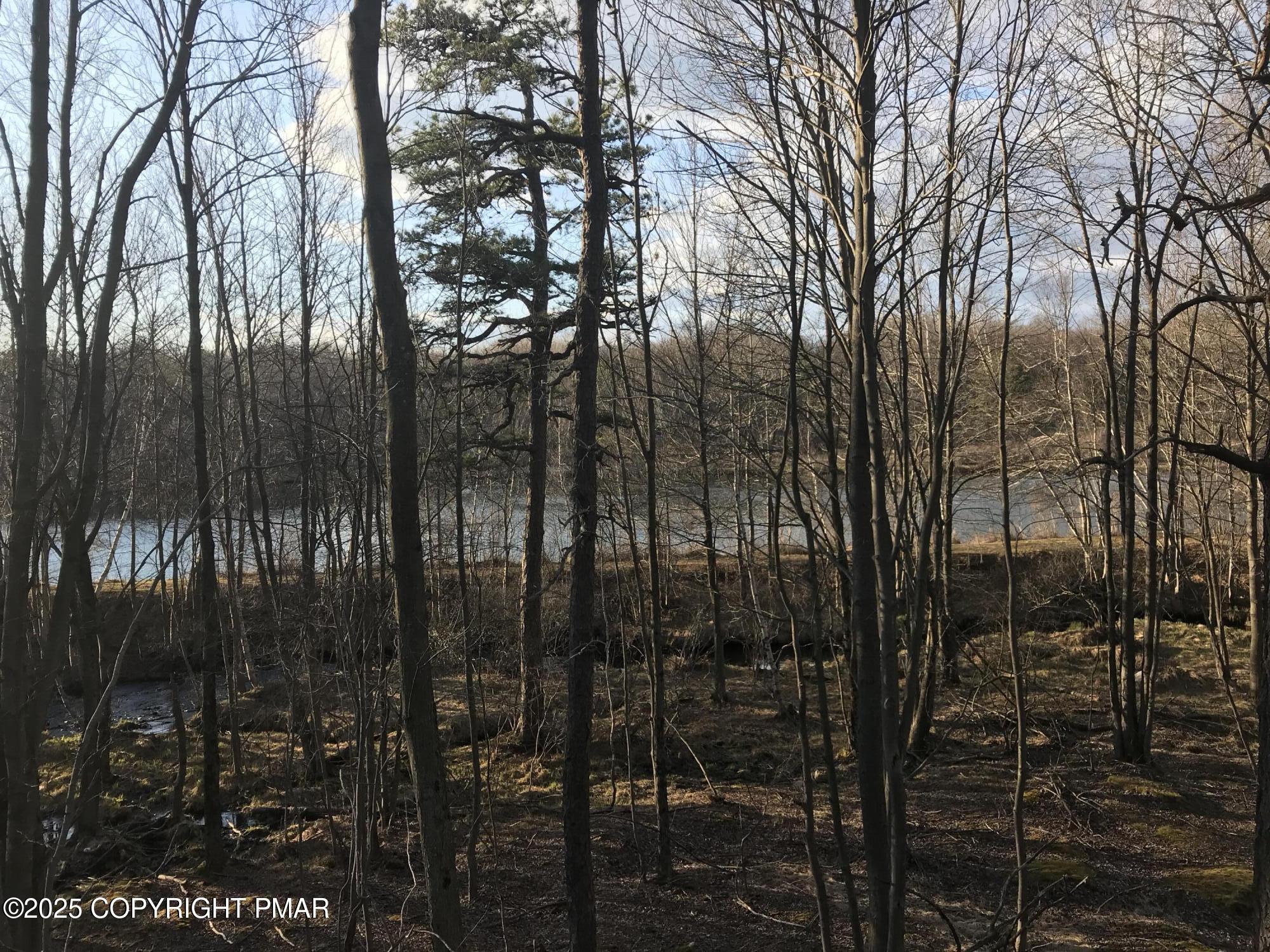 119 Mountain Road Albrightsville, PA 18210 - Photo 3 of 18