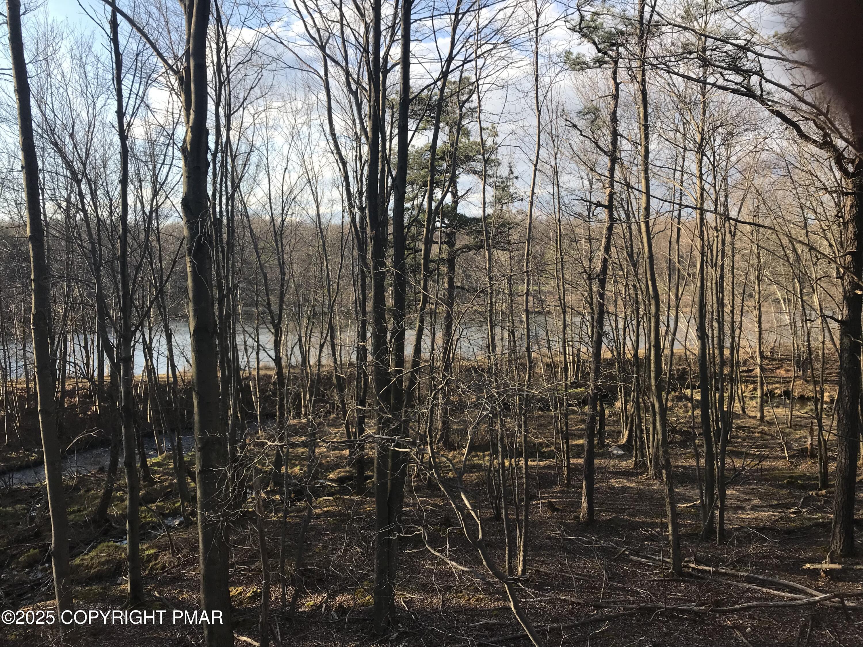 119 Mountain Road Albrightsville, PA 18210 - Photo 5 of 18 view of outdoor space with street view