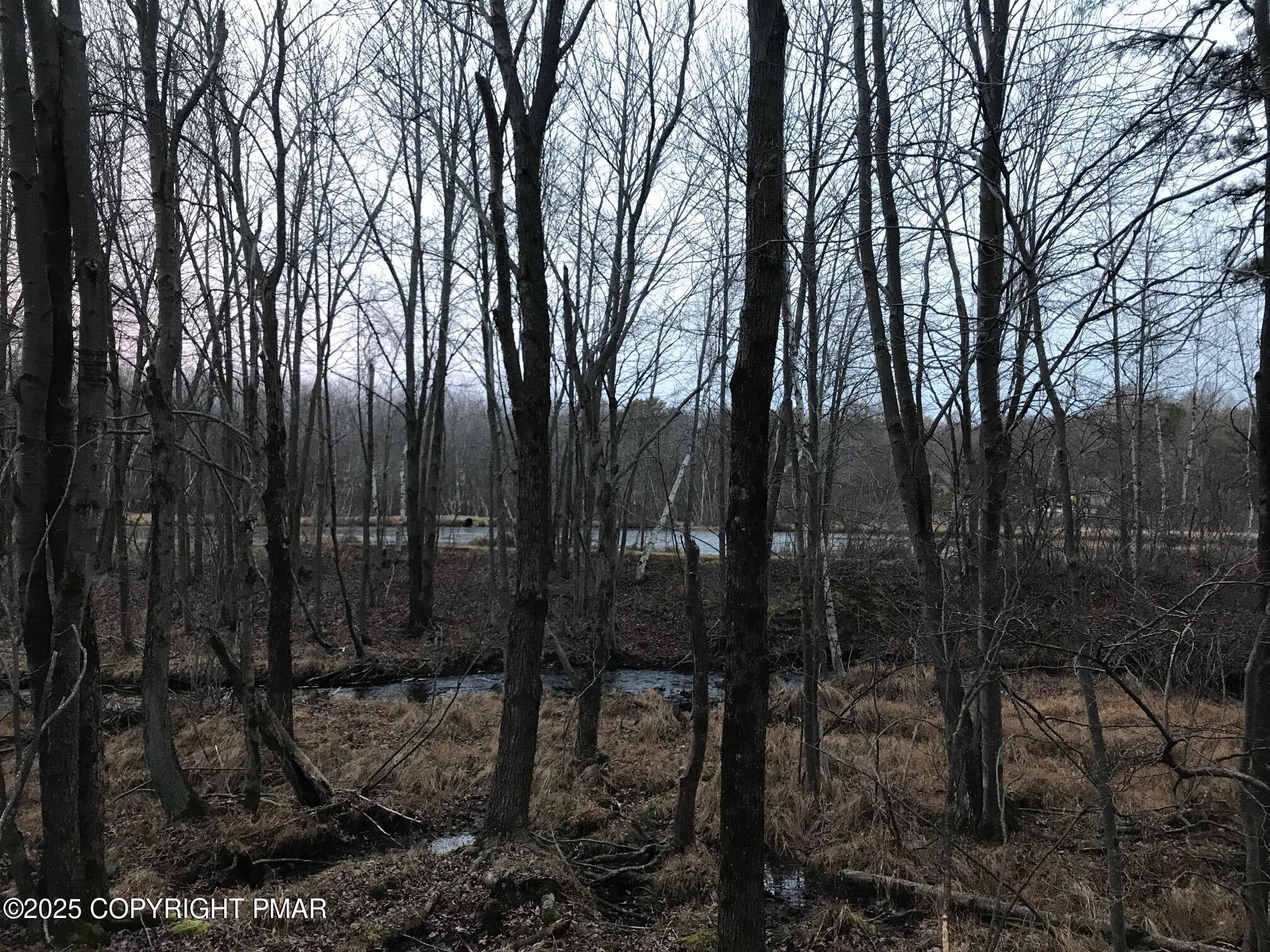 119 Mountain Road Albrightsville, PA 18210 - Photo 9 of 18 a view of outdoor space and yard