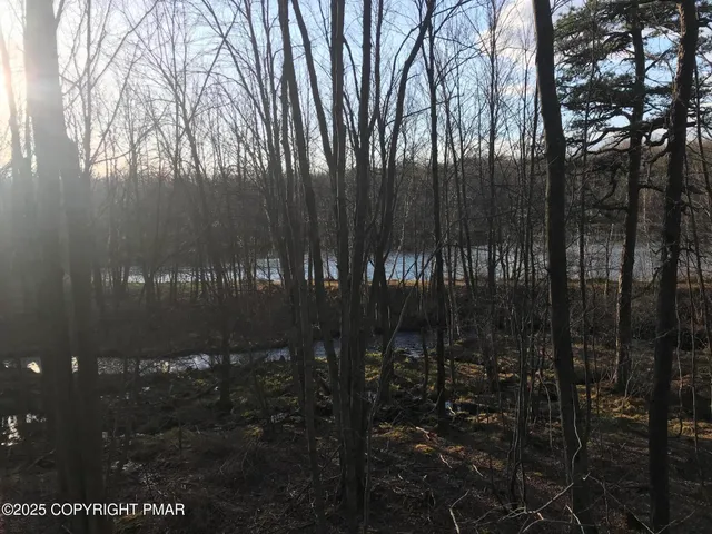 a view of lot of trees