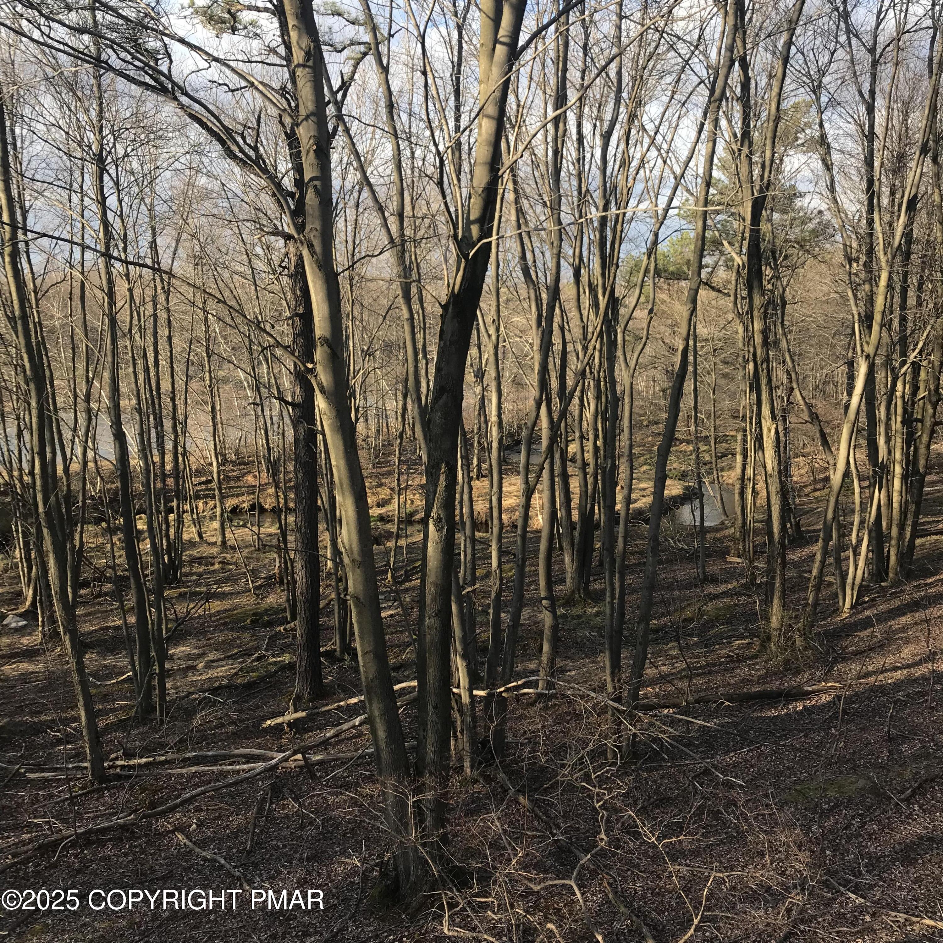 119 Mountain Road Albrightsville, PA 18210 - Photo 10 of 18 a backyard of a house with lots of green space