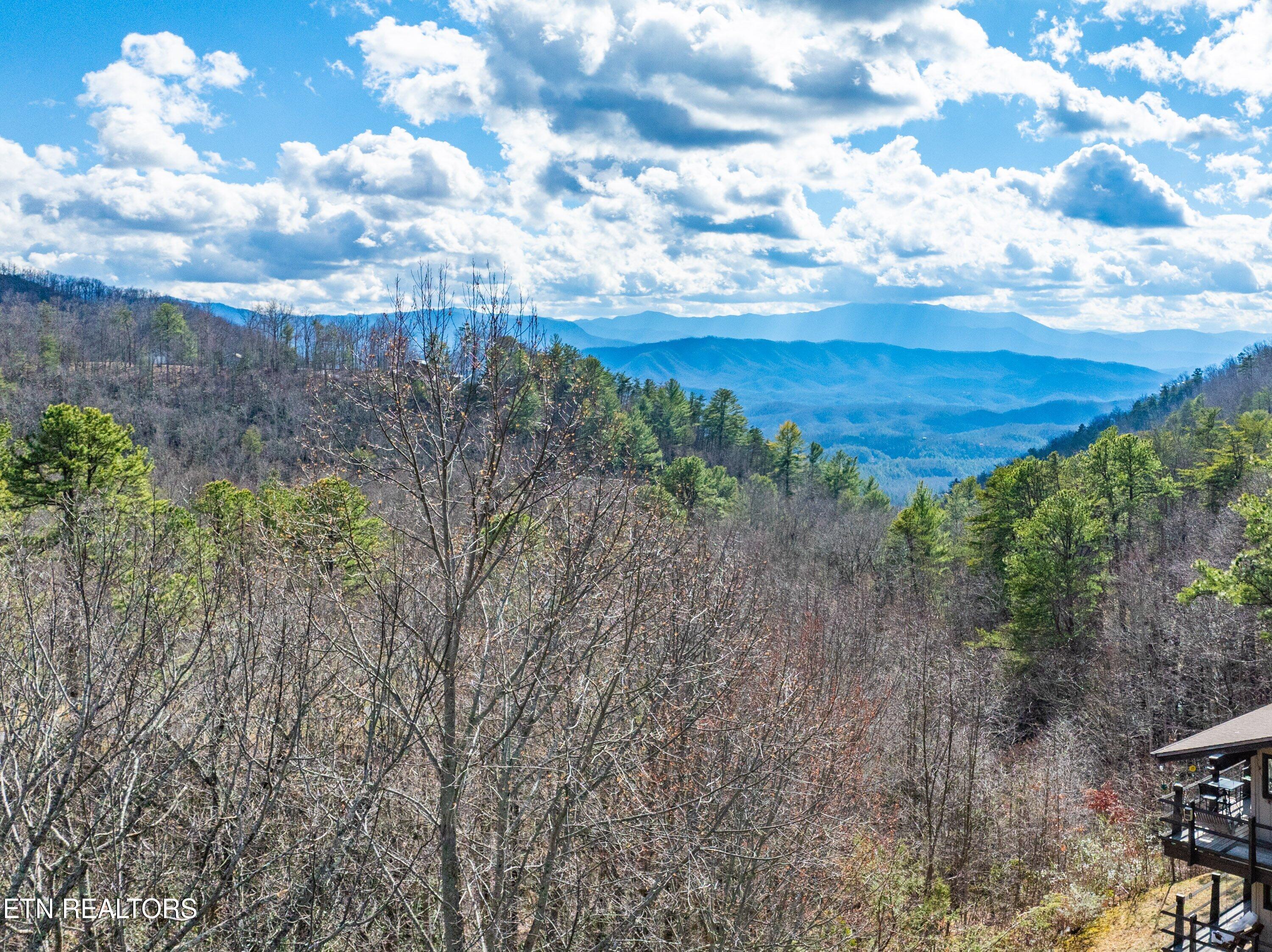 1081 Cove Road, Unit 933 Sevierville, TN 37876 - Photo 30 of 41 EMC-933-32