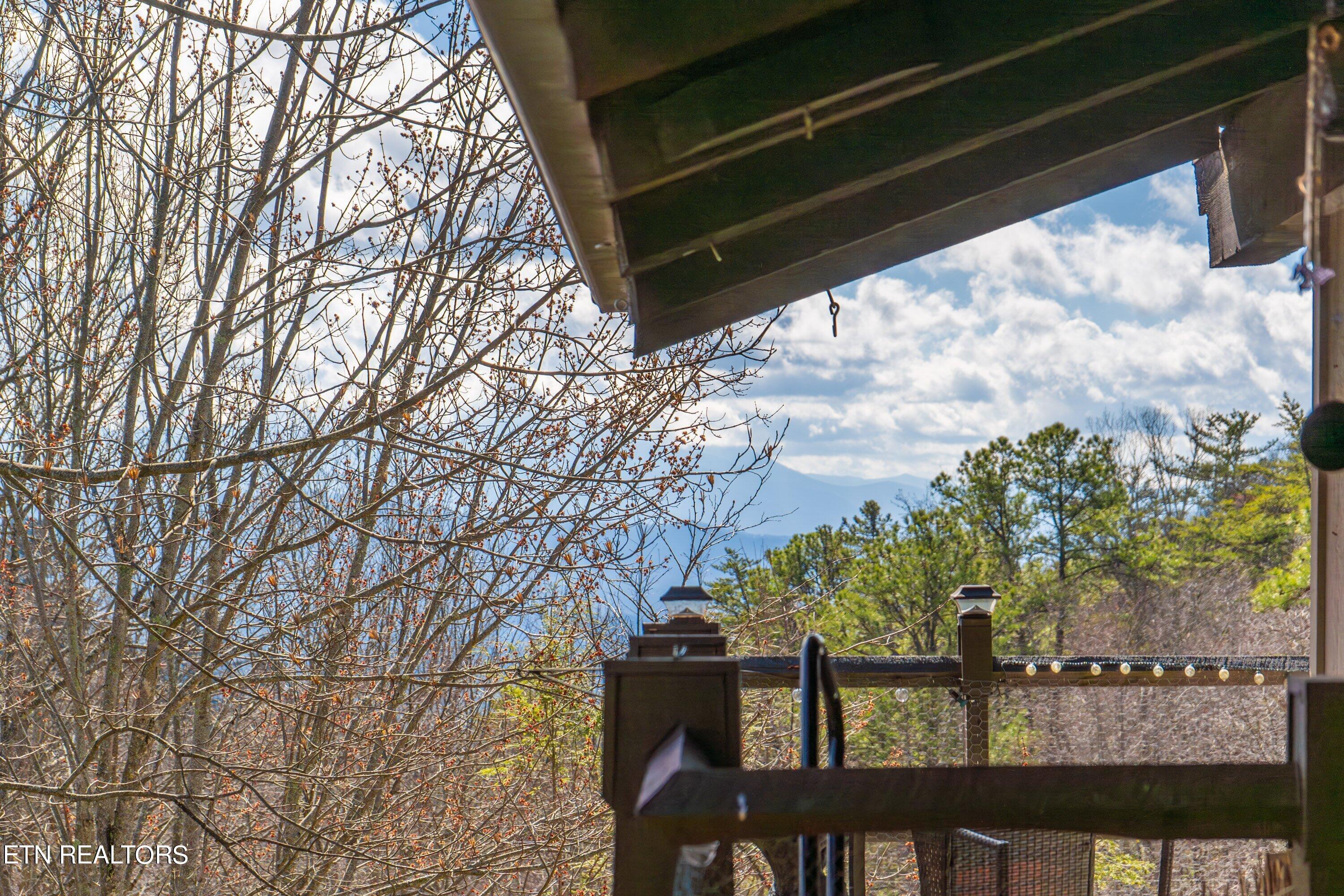 1081 Cove Road, Unit 933 Sevierville, TN 37876 - Photo 3 of 41 EMC-933-4