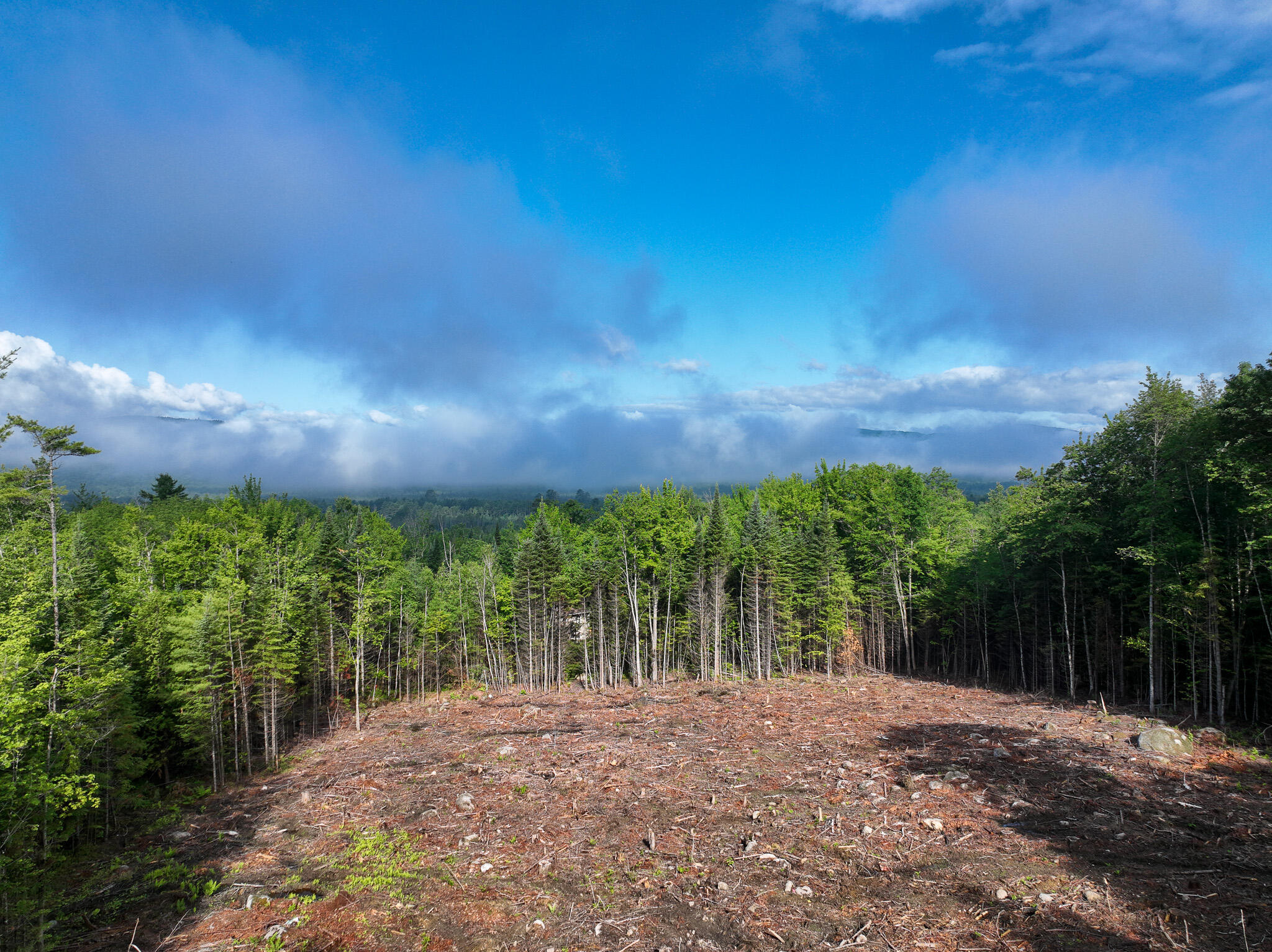 0 Old Country Road Dixfield, ME 04224 - Photo 12 of 17 DJI_0180