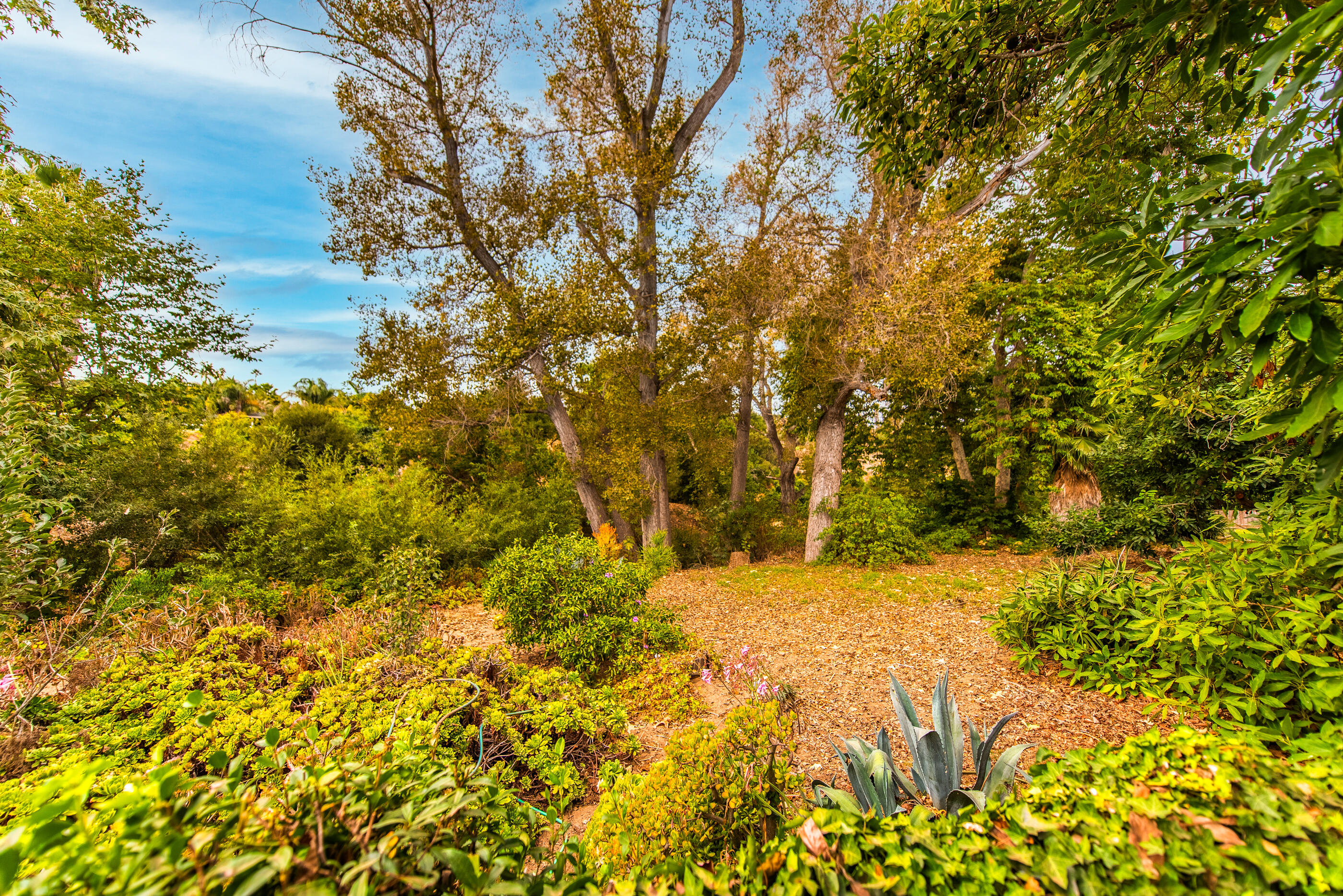 963 North San Marcos Road Santa Barbara, CA 93111 - Photo 7 of 48 4c