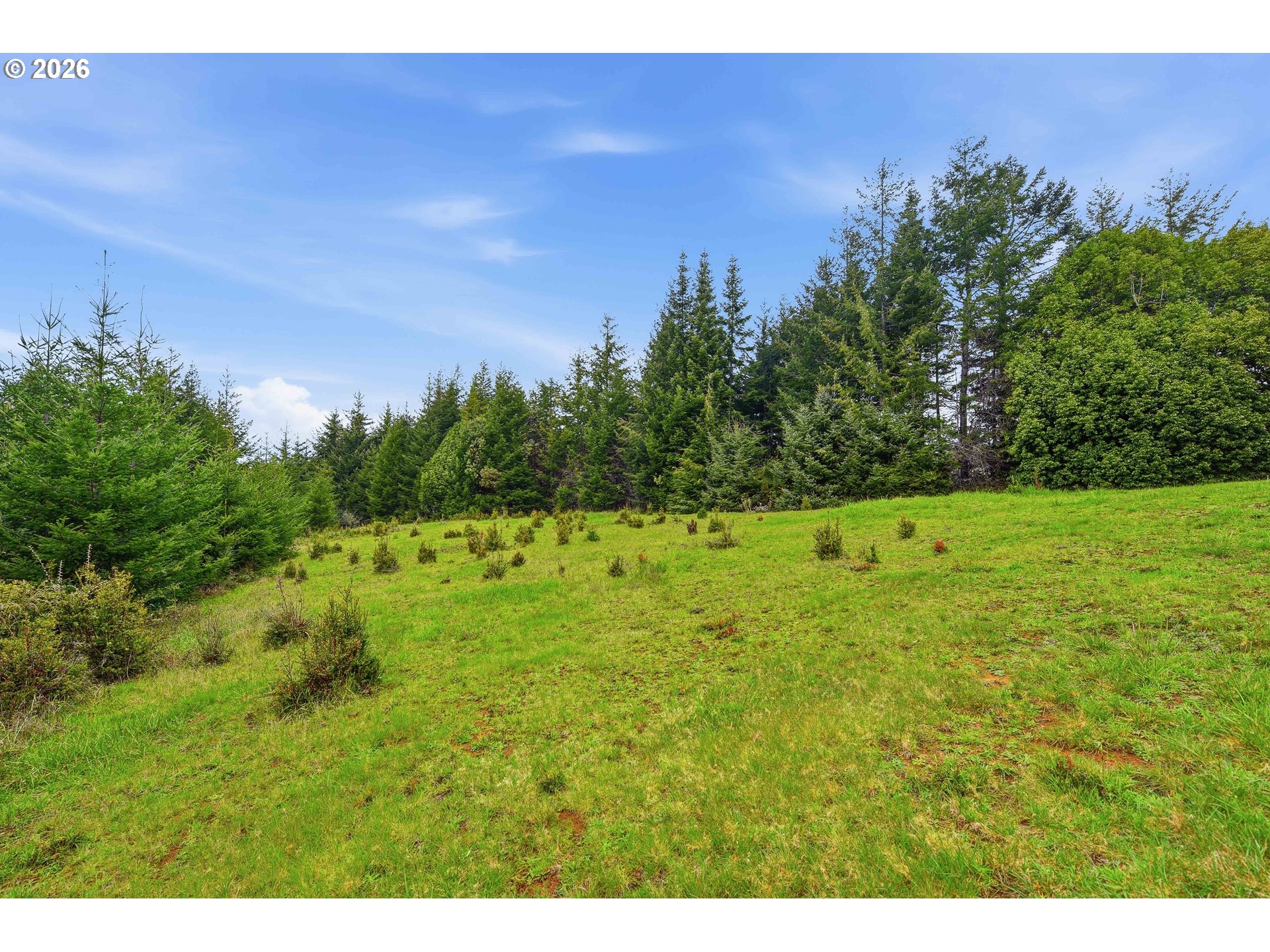 0 East Bay Road, Unit 1700 North Bend, OR 97459 - Photo 4 of 10