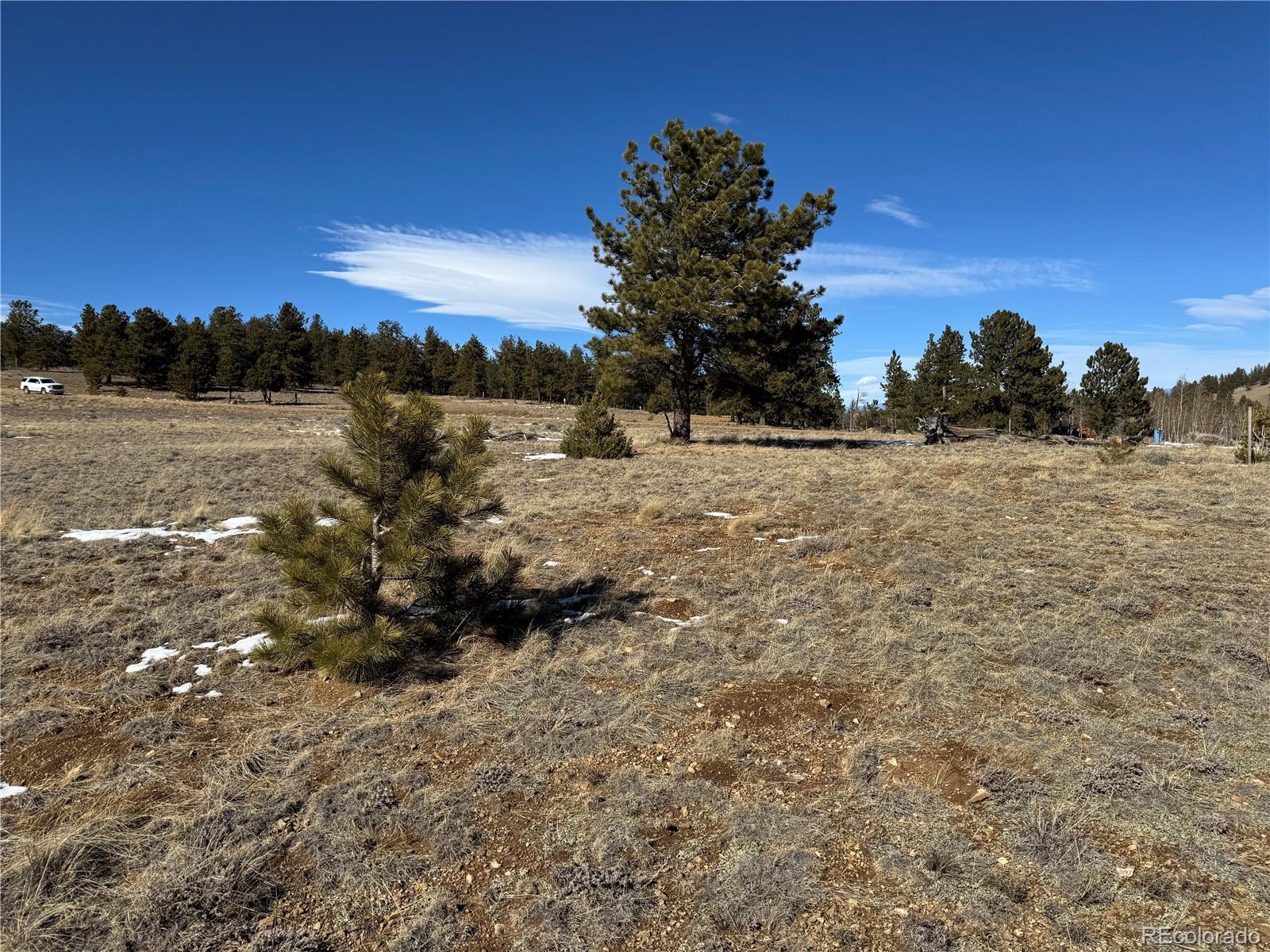 225 Wagon Wheel Road Hartsel, CO 80449 - Photo 11 of 35