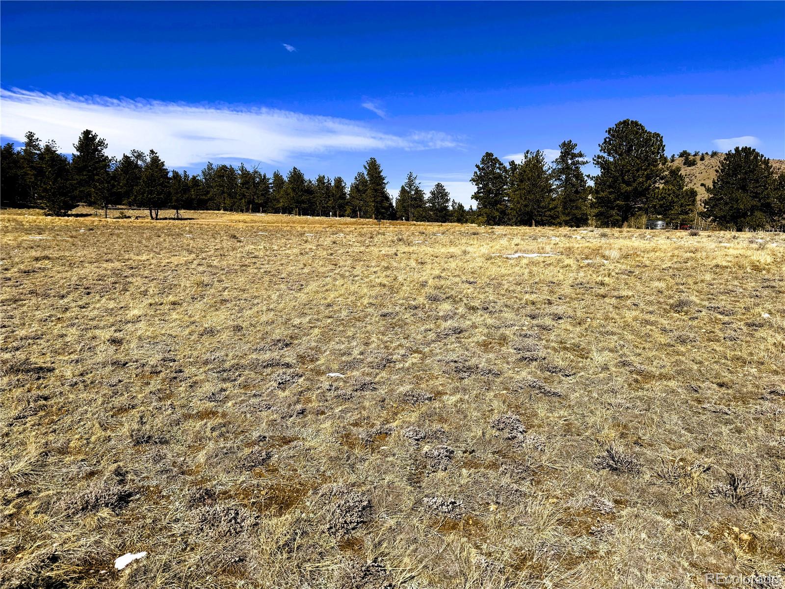 225 Wagon Wheel Road Hartsel, CO 80449 - Photo 12 of 35