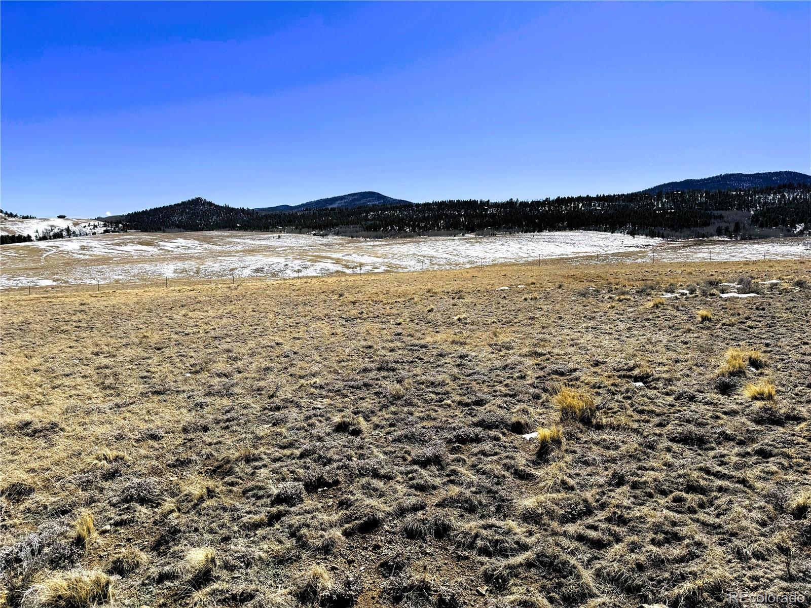 225 Wagon Wheel Road Hartsel, CO 80449 - Photo 16 of 35