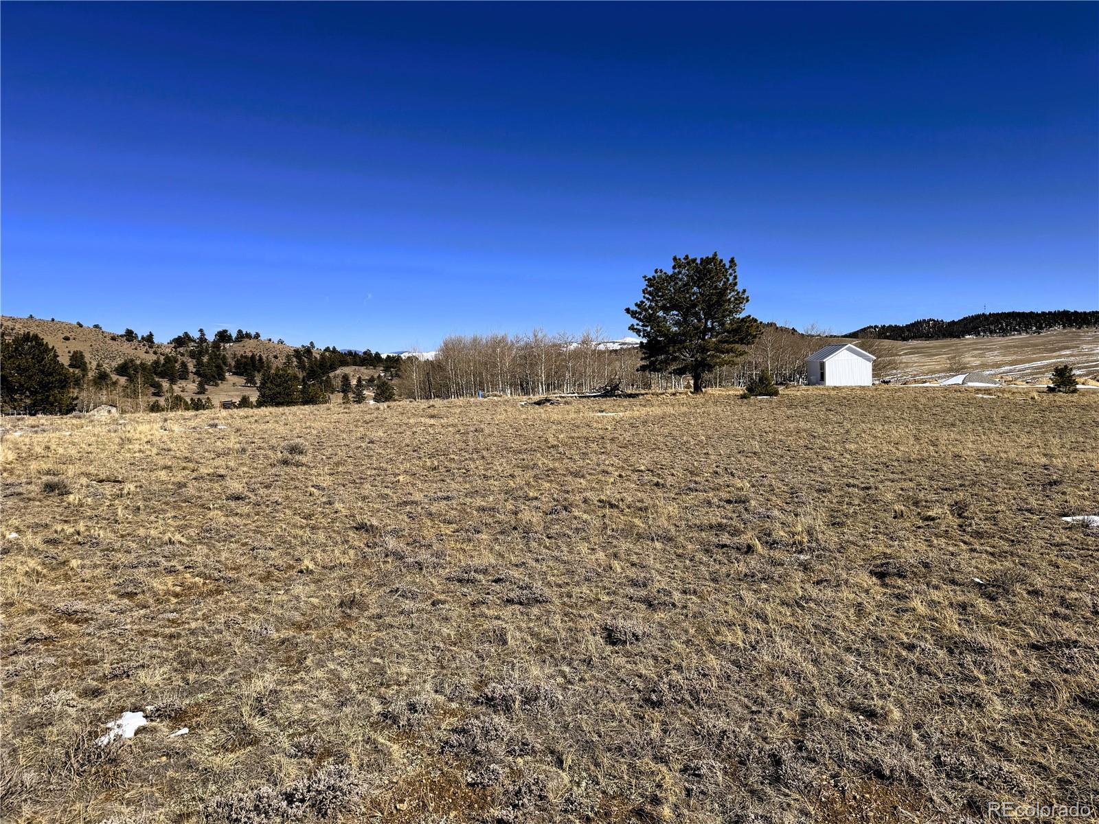 225 Wagon Wheel Road Hartsel, CO 80449 - Photo 19 of 35