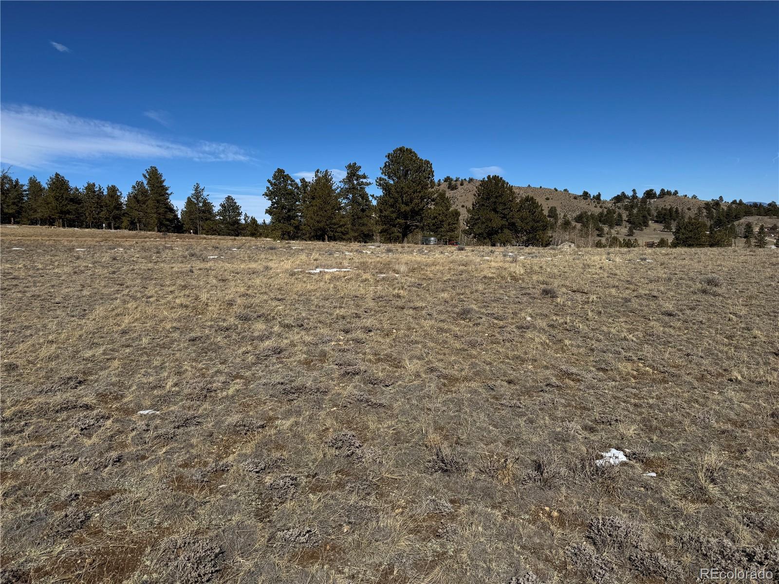 225 Wagon Wheel Road Hartsel, CO 80449 - Photo 20 of 35