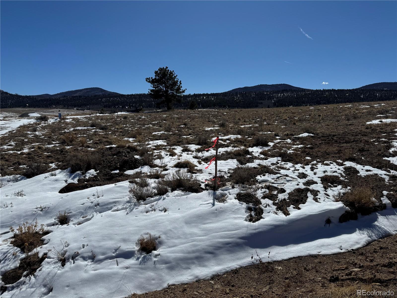 225 Wagon Wheel Road Hartsel, CO 80449 - Photo 21 of 35