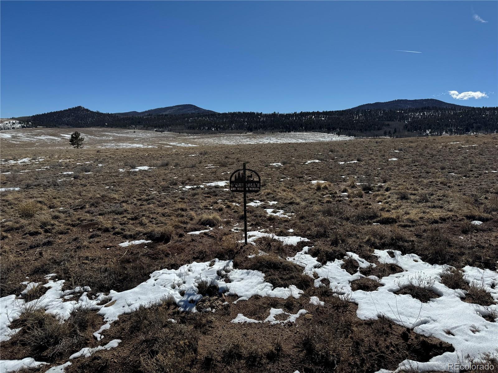 225 Wagon Wheel Road Hartsel, CO 80449 - Photo 23 of 35