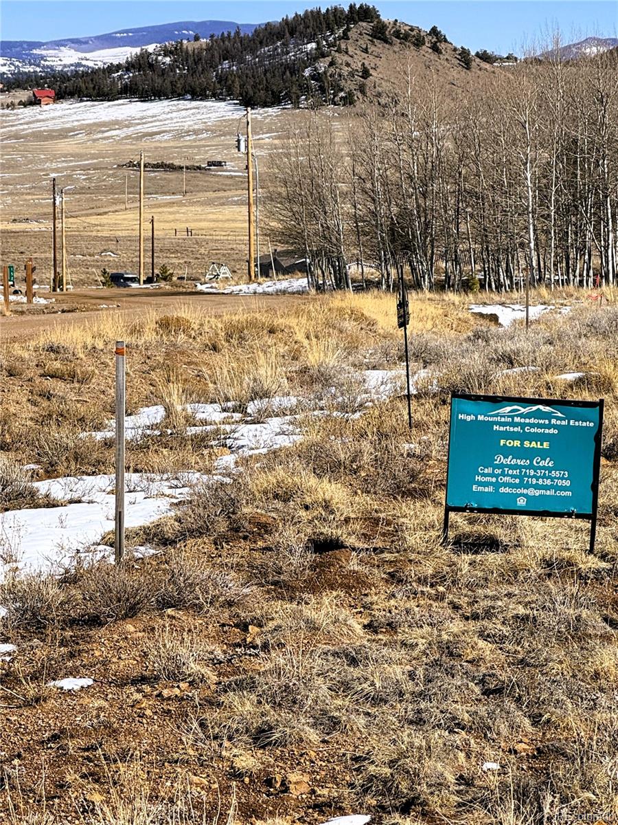 225 Wagon Wheel Road Hartsel, CO 80449 - Photo 24 of 35