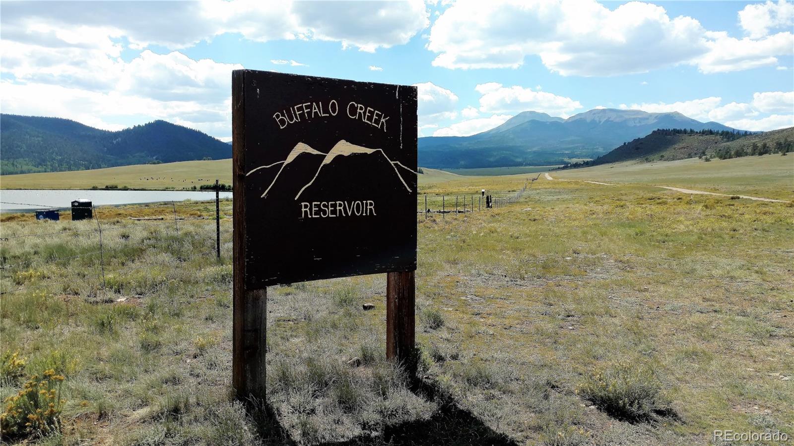 225 Wagon Wheel Road Hartsel, CO 80449 - Photo 30 of 35