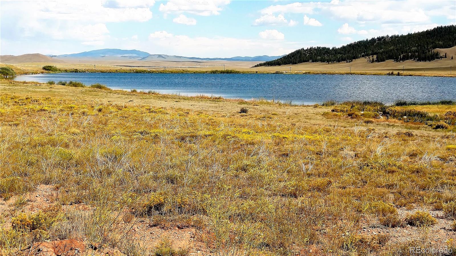 225 Wagon Wheel Road Hartsel, CO 80449 - Photo 33 of 35