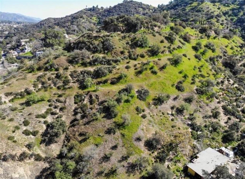 0 Flora Morgan Trail Tujunga, CA 91042 - Photo 10 of 14 a view of a forest with a street