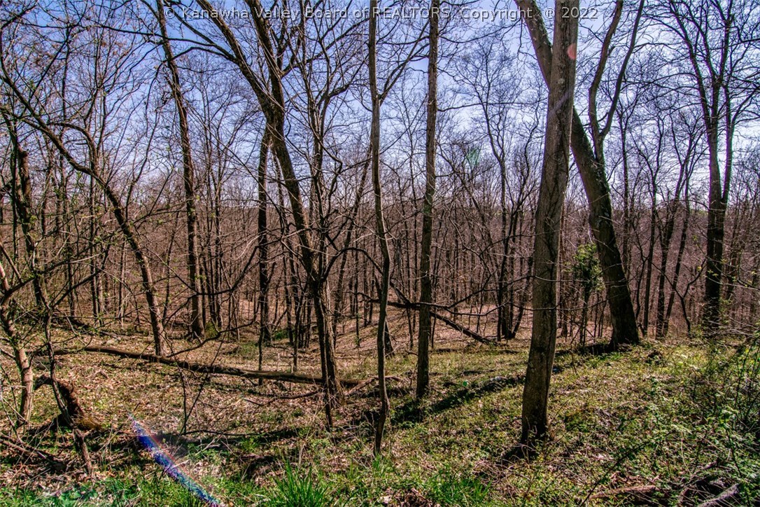 0 Milhoan Ridge Road Ravenswood, WV 26164 - Photo 3 of 4 Gallery Image 3