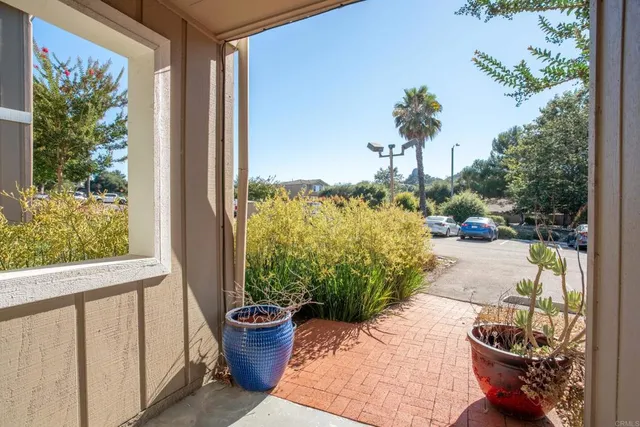 a view of a back yard of the house and a potted plant
