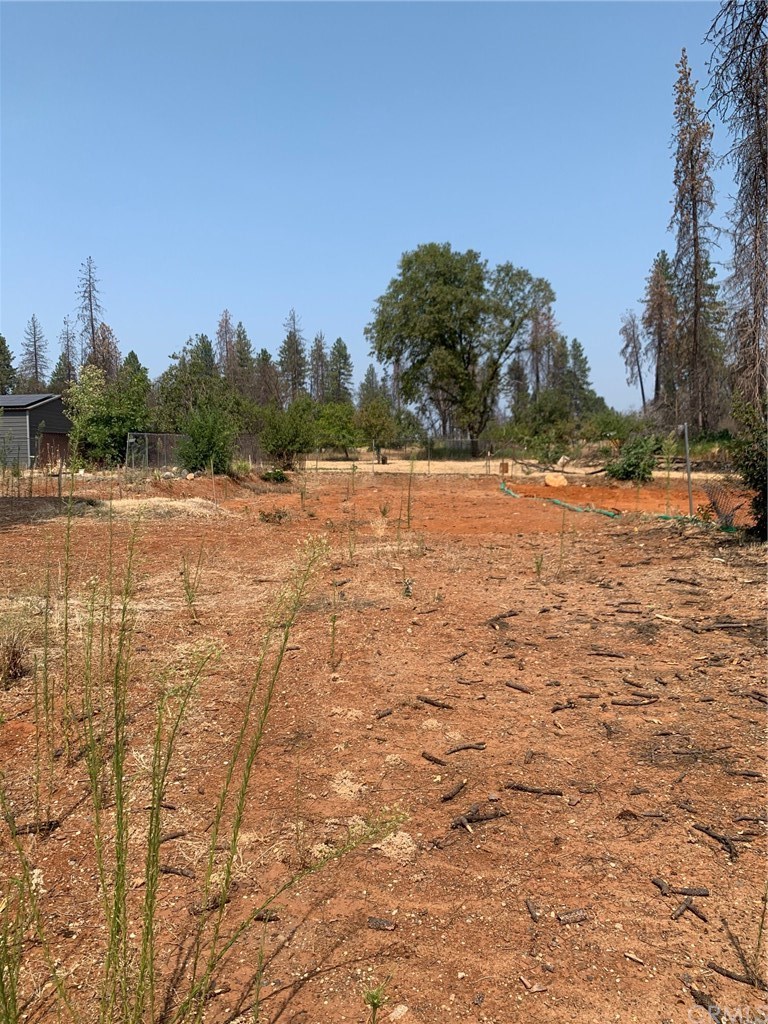 747 Bille Road Paradise, CA 95969 - Photo 4 of 5 Gallery Image 4