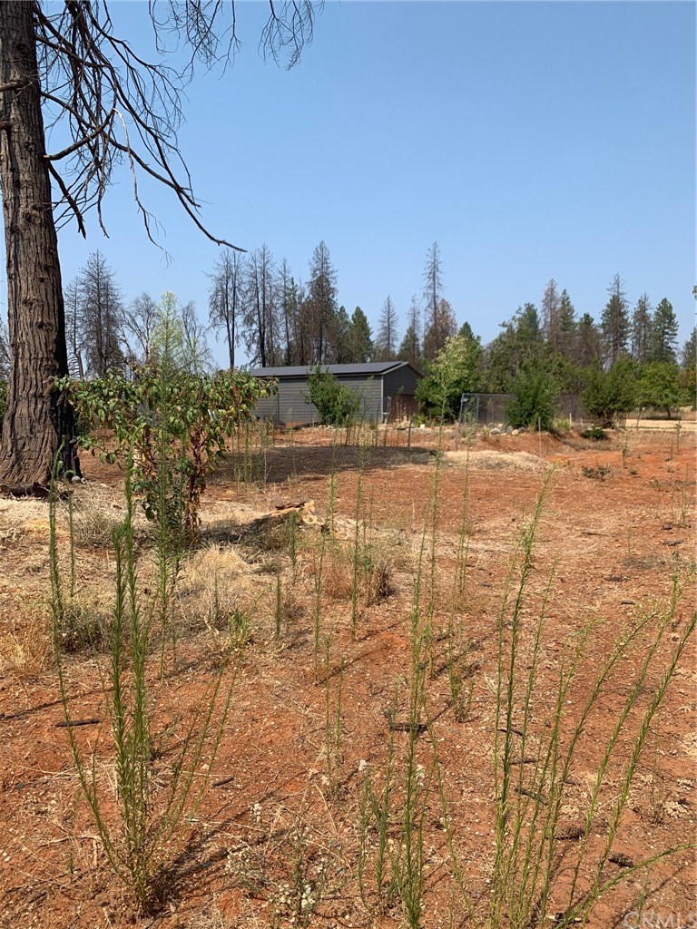 747 Bille Road Paradise, CA 95969 - Photo 5 of 5 Gallery Image 5