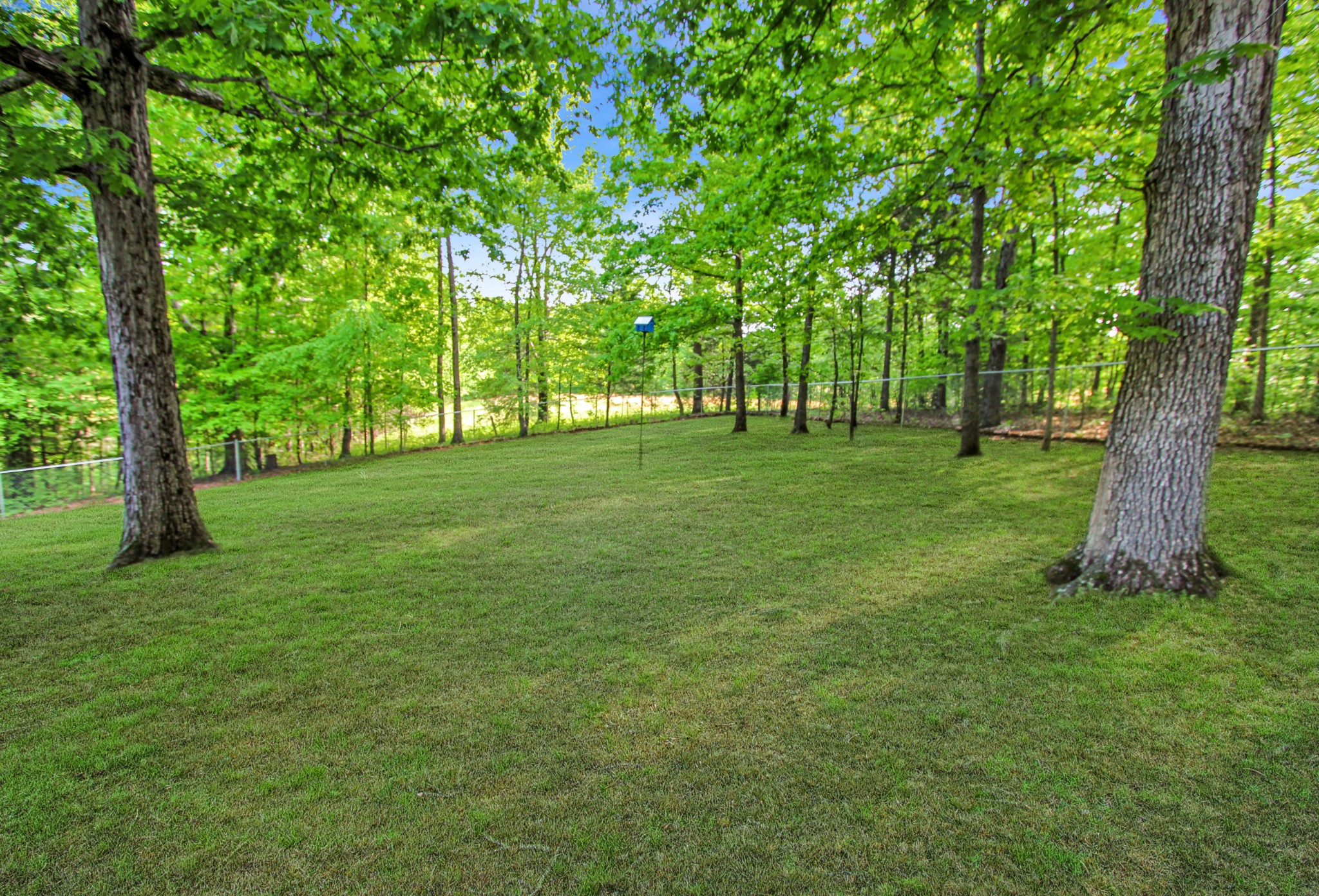 328 Williams Road Big Rock, TN 37023 - Photo 7 of 28 Gallery Image 7