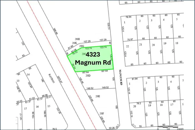 a view of a pathway both side of a road