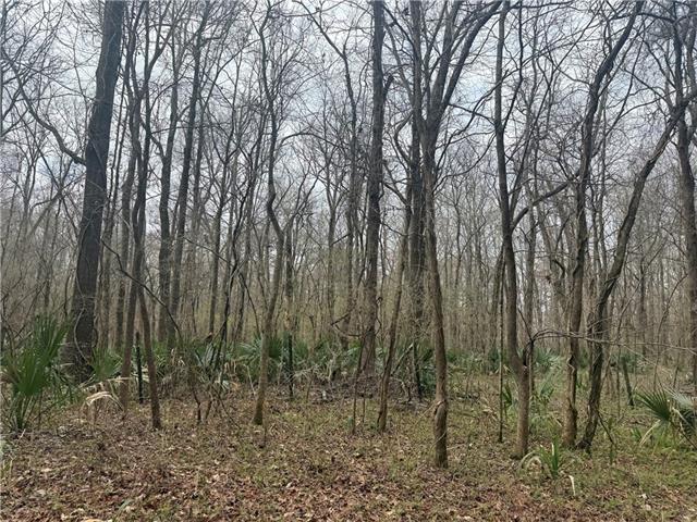 377 Paulk Road Jonesville, LA 71343 - Photo 16 of 37
