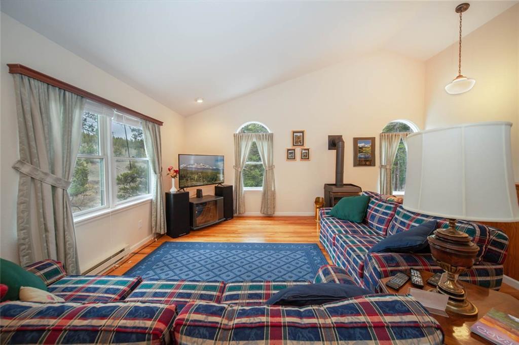 284 Pine Ridge Road Alma, CO 80420 - Photo 2 of 30 Gallery Image 2