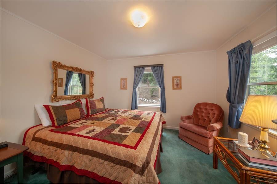 284 Pine Ridge Road Alma, CO 80420 - Photo 11 of 30 Gallery Image 11