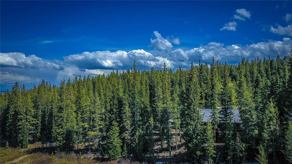 284 Pine Ridge Road Alma, CO 80420 - Photo 20 of 30 Gallery Image 20