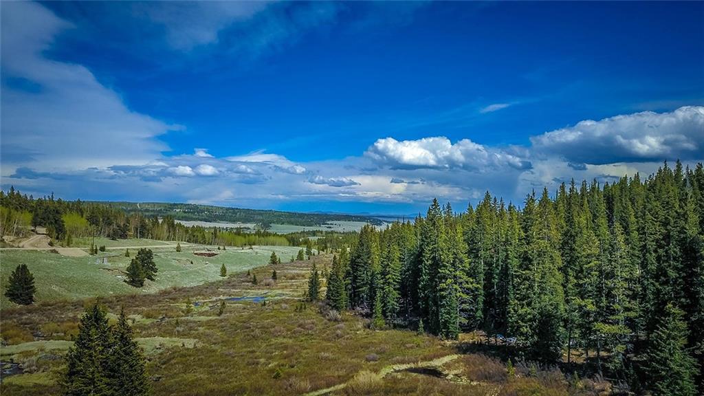 284 Pine Ridge Road Alma, CO 80420 - Photo 3 of 30 Gallery Image 3