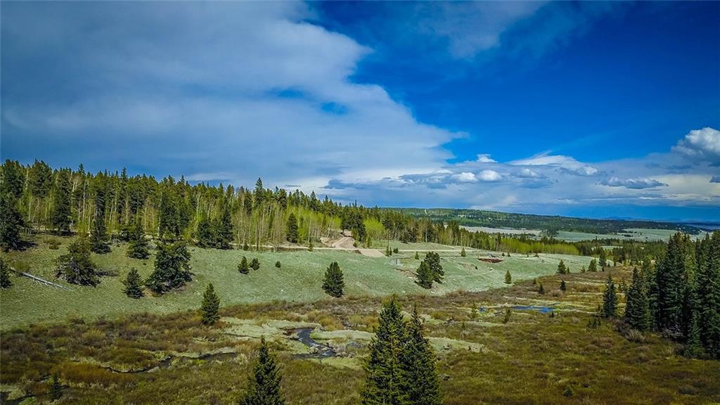 284 Pine Ridge Road Alma, CO 80420 - Photo 21 of 30 Gallery Image 21