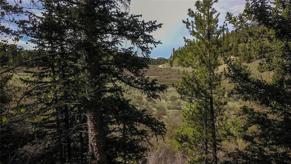 284 Pine Ridge Road Alma, CO 80420 - Photo 25 of 30 Gallery Image 25