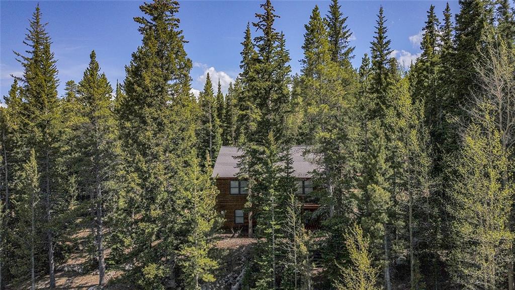 284 Pine Ridge Road Alma, CO 80420 - Photo 30 of 30 Gallery Image 30