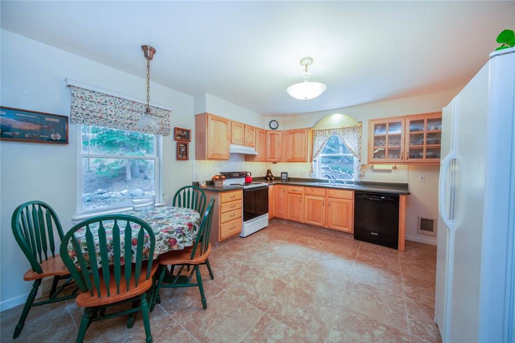 284 Pine Ridge Road Alma, CO 80420 - Photo 9 of 30 Gallery Image 9