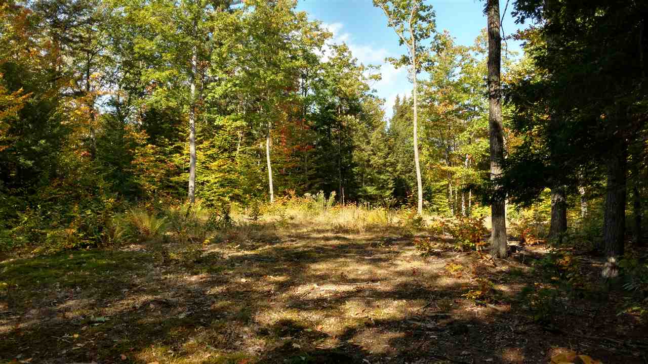 49 Brownell Road Center Ossipee, NH 03814 - Photo 1 of 1