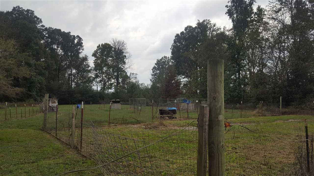 150 McHone Lane Decatur, TN 37322 - Photo 25 of 42 Gallery Image 25