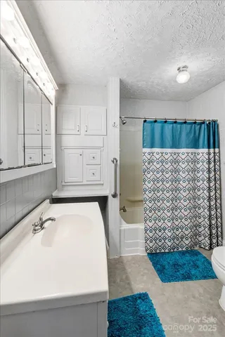 a bathroom with a sink and a shower