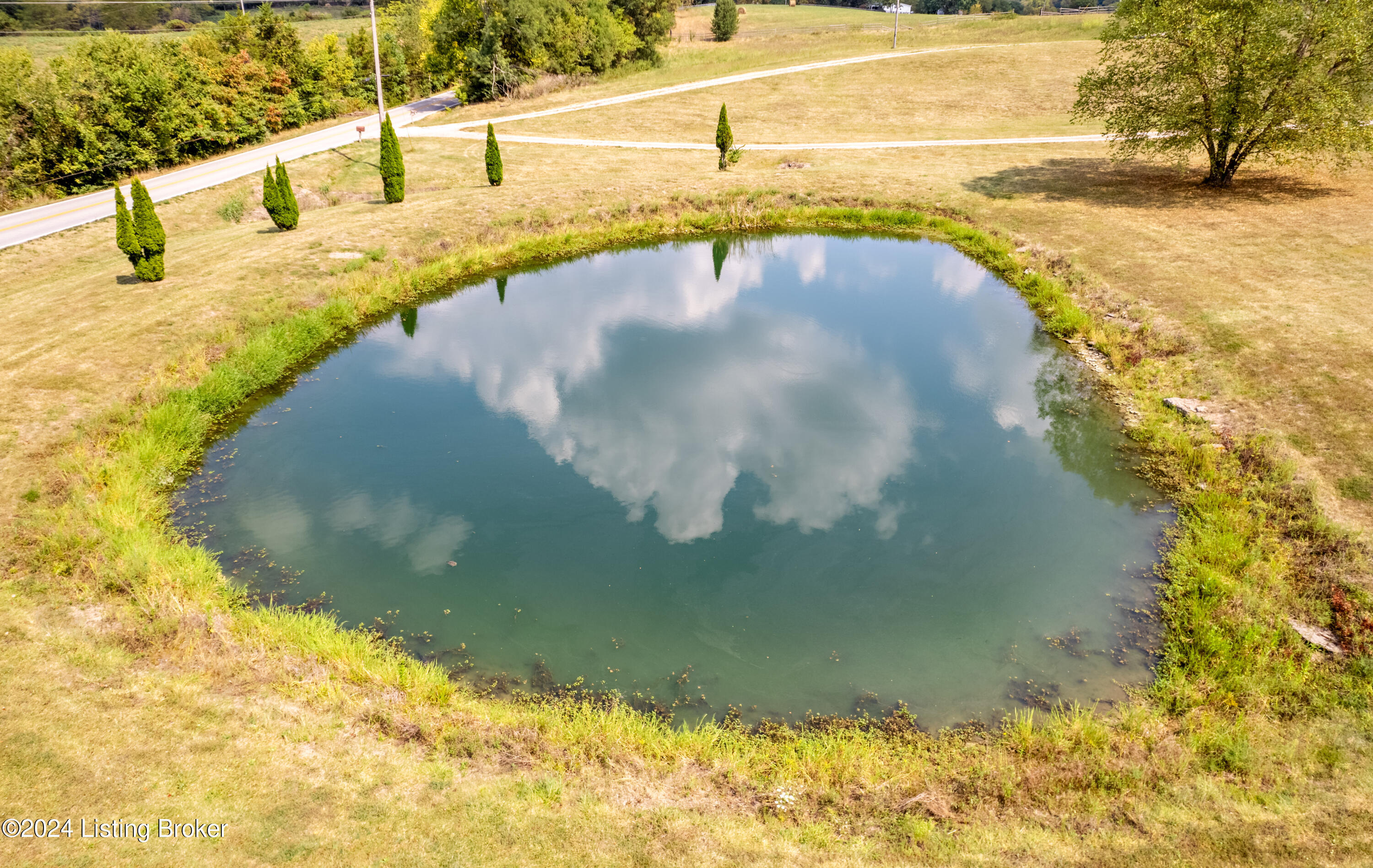 7083 Bagdad Road Bagdad, KY 40003 - Photo 5 of 39 Pond!