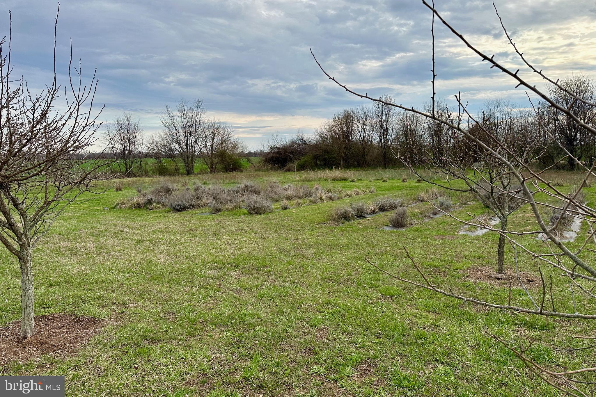 25789 Lambs Meadow Road Worton, MD 21678 - Photo 8 of 24 a view of a field