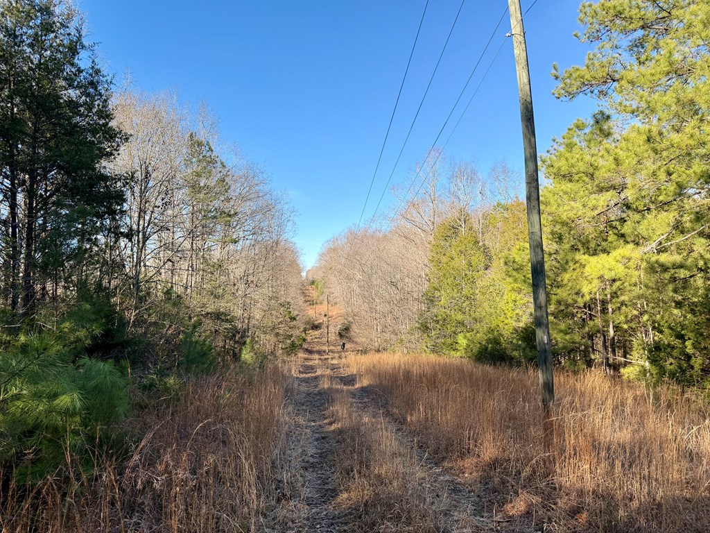 0 Neely Ferry Road Gray Court, SC 29645 - Photo 11 of 23 Gallery Image 11