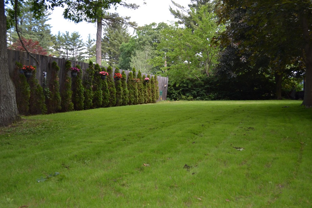 534 Hudson Road Sudbury, MA 01776 - Photo 22 of 22