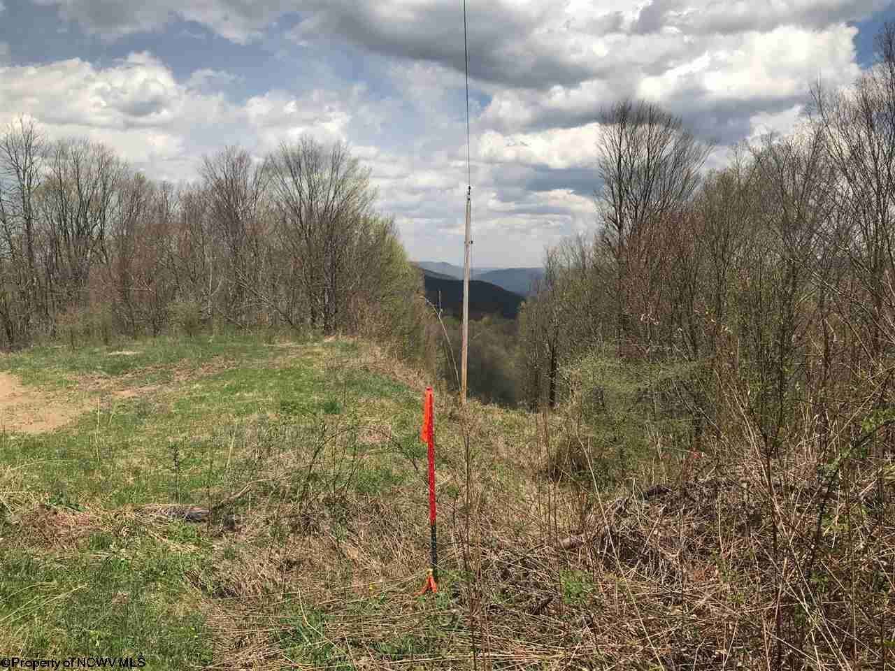 0 Haines Knob Road Harman, WV 26270 - Photo 9 of 20 Gallery Image 9