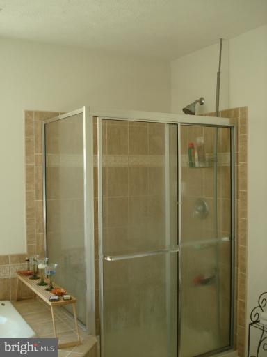 1240 Painted Fern Road Denton, MD 21629 - Photo 18 of 26 Bath (Master)