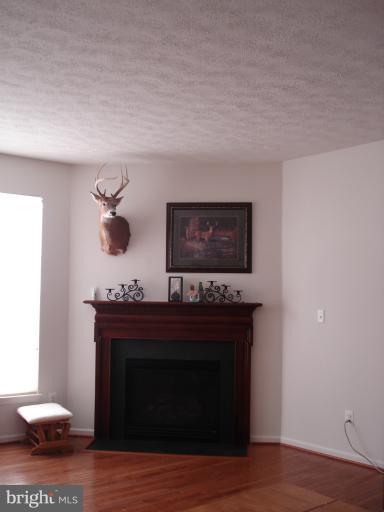 1240 Painted Fern Road Denton, MD 21629 - Photo 21 of 26 Family Room
