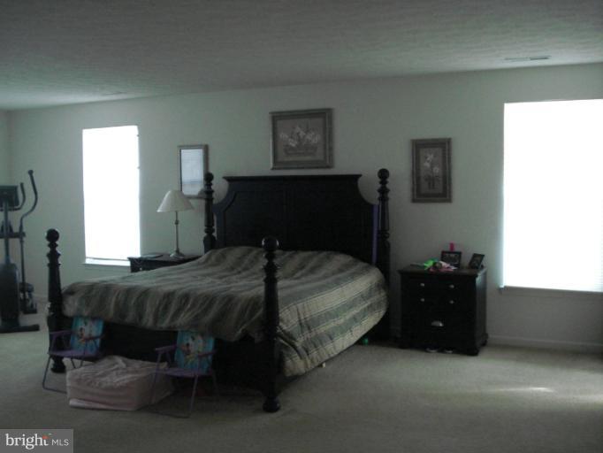 1240 Painted Fern Road Denton, MD 21629 - Photo 22 of 26 Bedroom (Master)