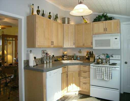 327 West Middle Street Chelsea, MI 48118 - Photo 2 of 8 Photo 2