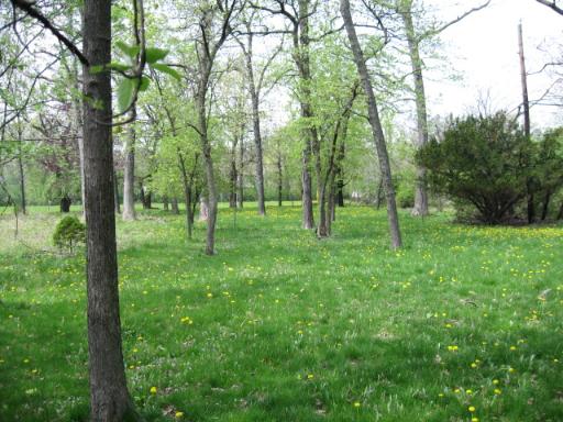 a view of stand in a yard